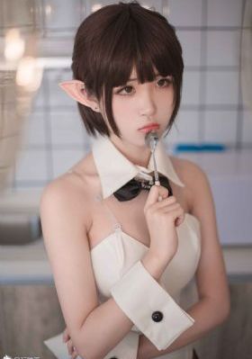 大宋奇案之狸猫换太子传奇